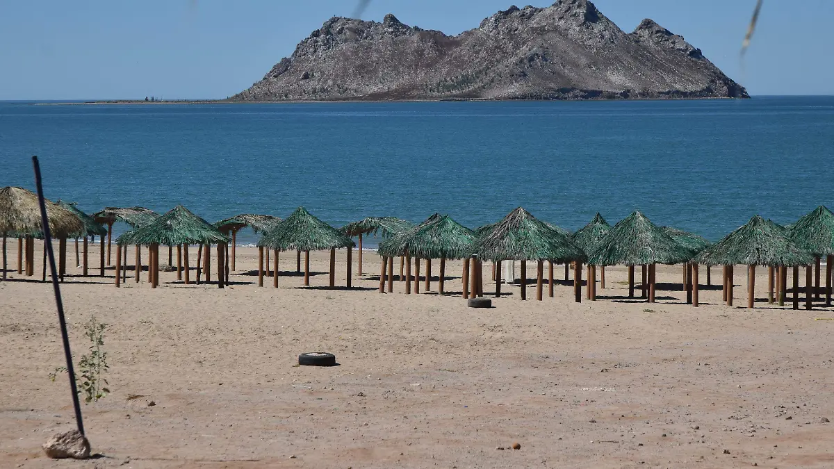 Bahia de Kino-Carlos Villalba (24)